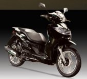 2012 Jonway Explorer 125 photo